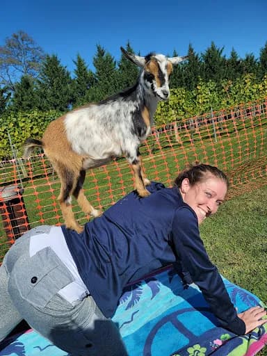 Gettysburg Goat Yoga - Goat Yoga in Gettysburg, Pennsylvania