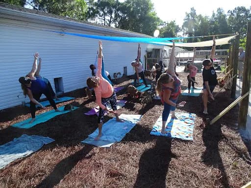 Goat Yoga - Goat Yoga in Bokeelia, Florida