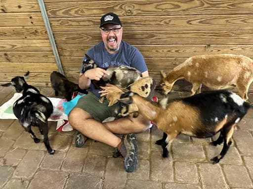 Oak Aged Farm - Goat Yoga in St Cloud, Florida