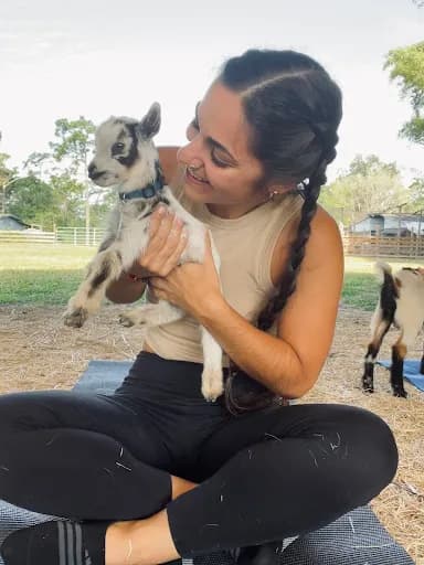 Wildflower Farm Orlando - Goat Yoga in Orlando, Florida
